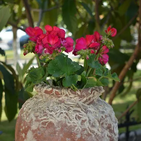 Apartmanhotel Achillion Paralía