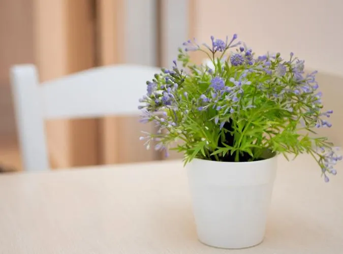 Aparthotel Achillion 3*