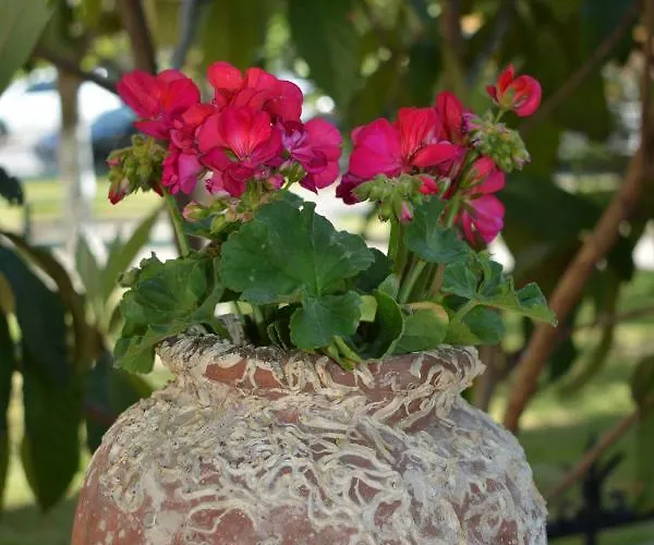 Aparthotel Achillion Paralía